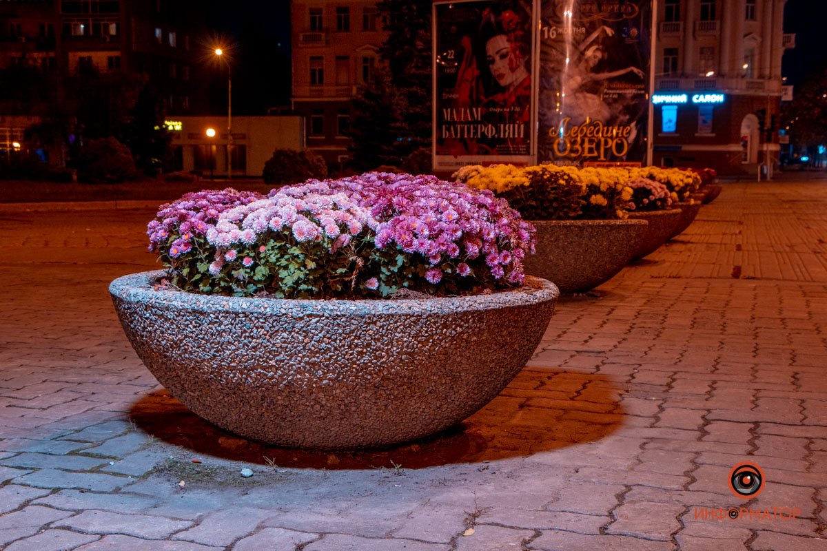 Фиолетовая осень