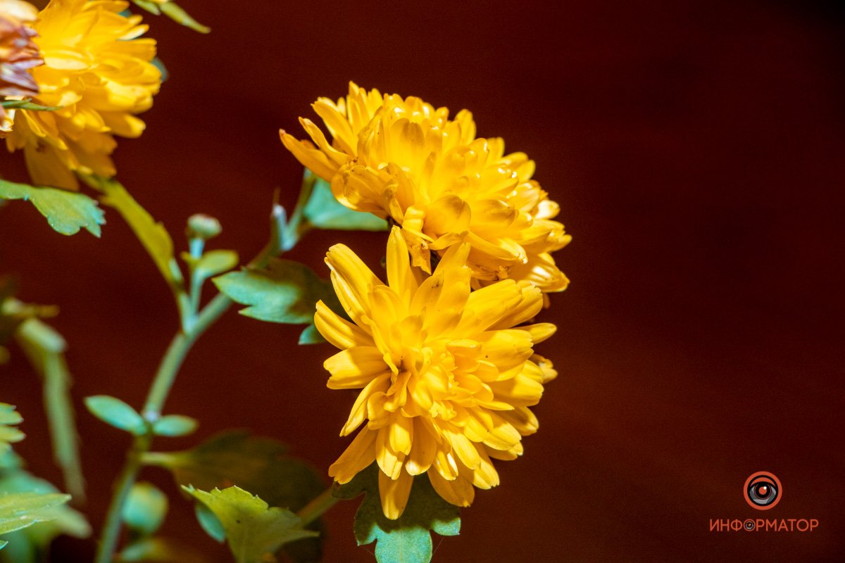 Похоже, обнимаются