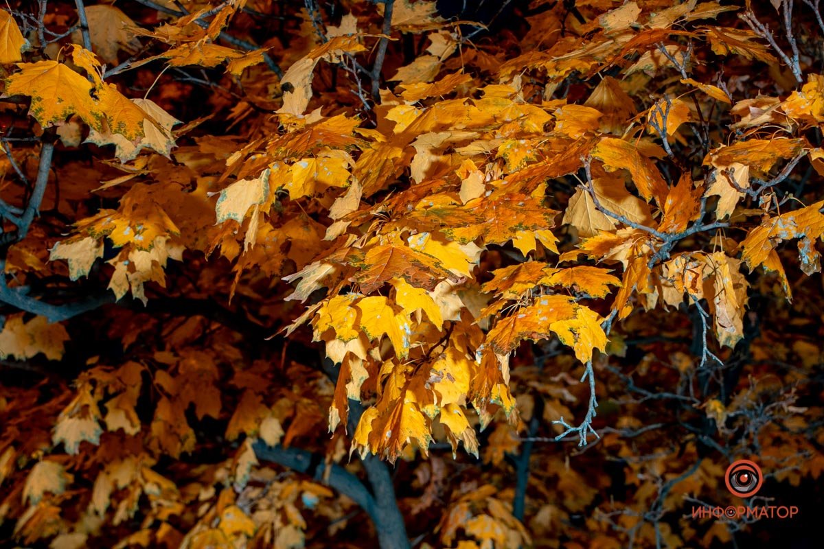 Живое золото