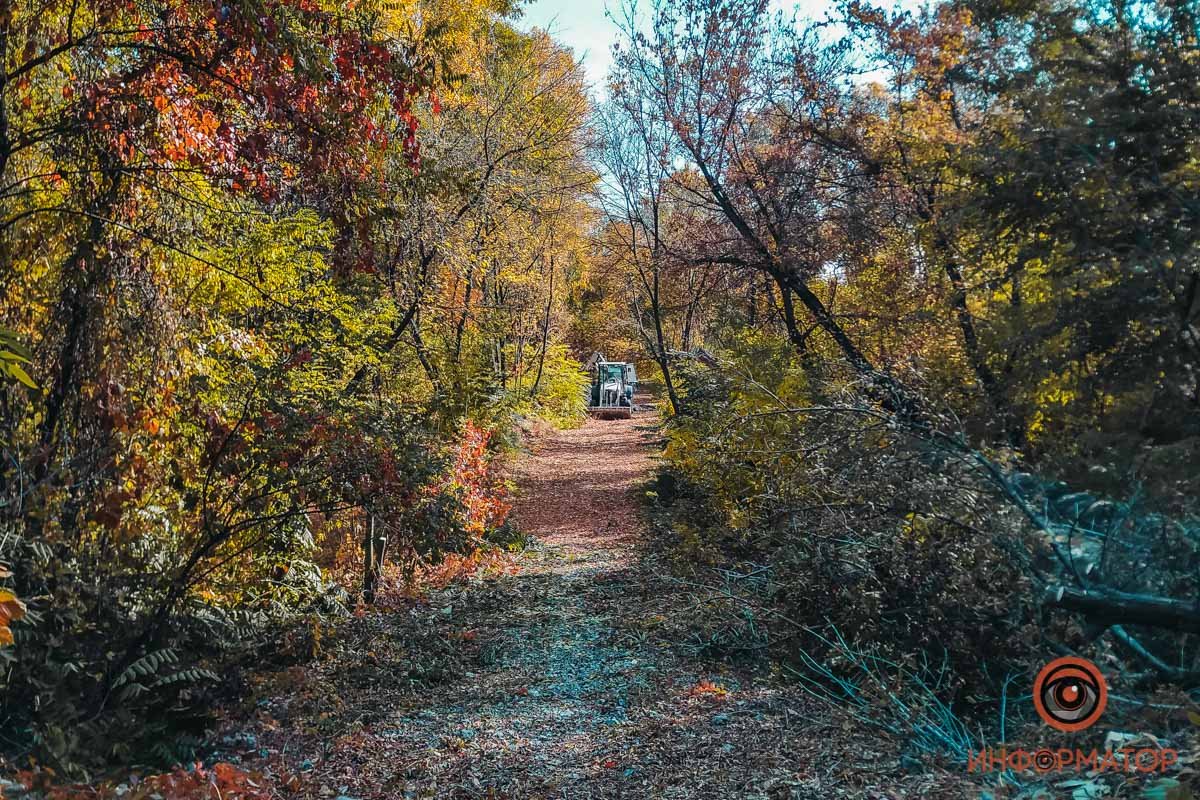 Проезд для спецтехники также расчищали автовладельцы вручную Проезд для спецтехники также расчищали автовладельцы вручную