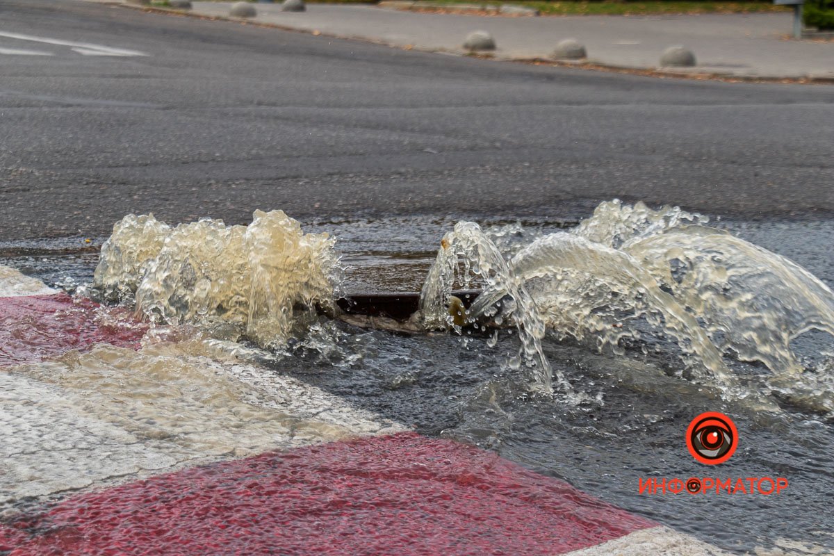 Фото: Дмитрий Федоров Фото: Дмитрий Федоров