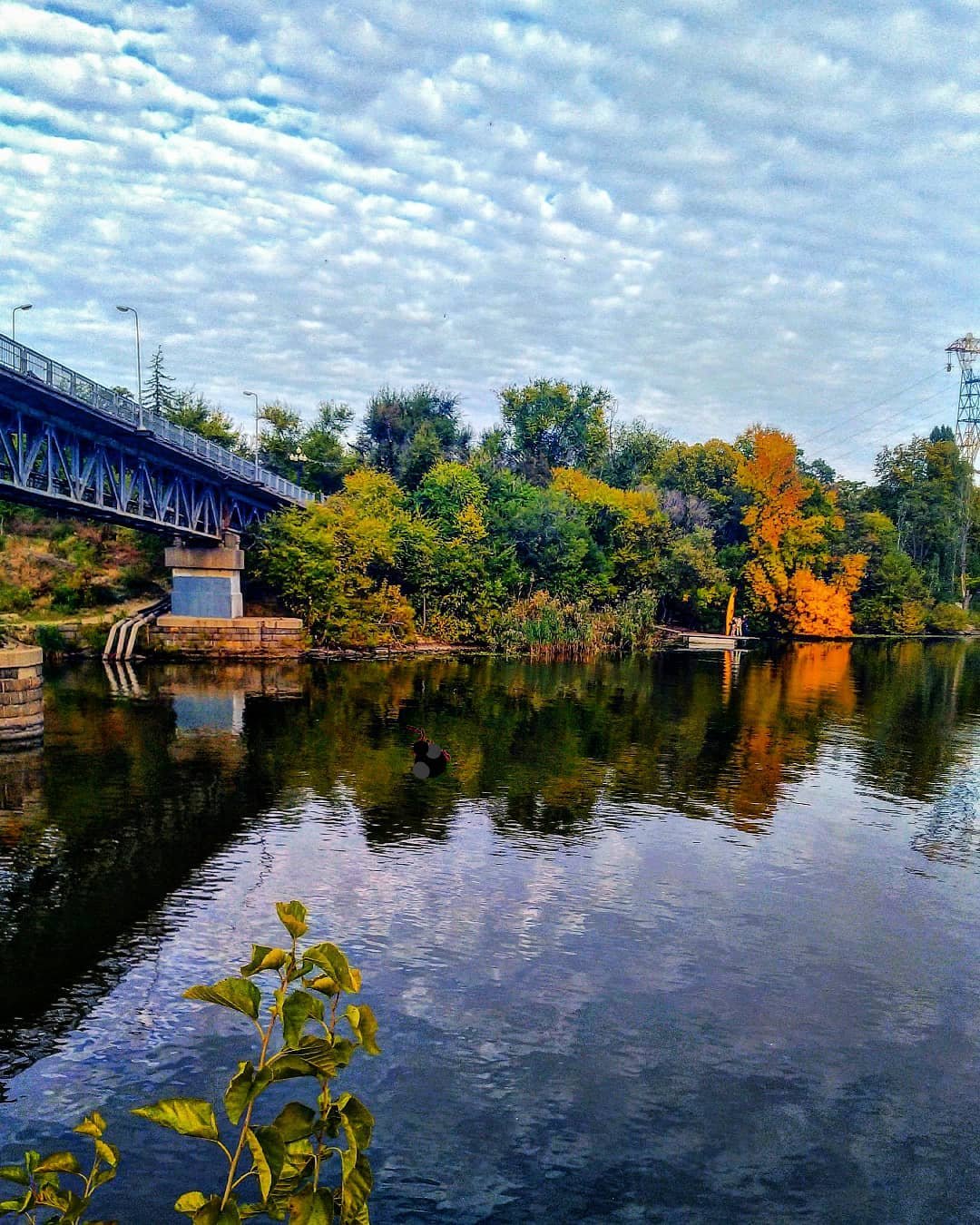 bengalka_x bengalka_x