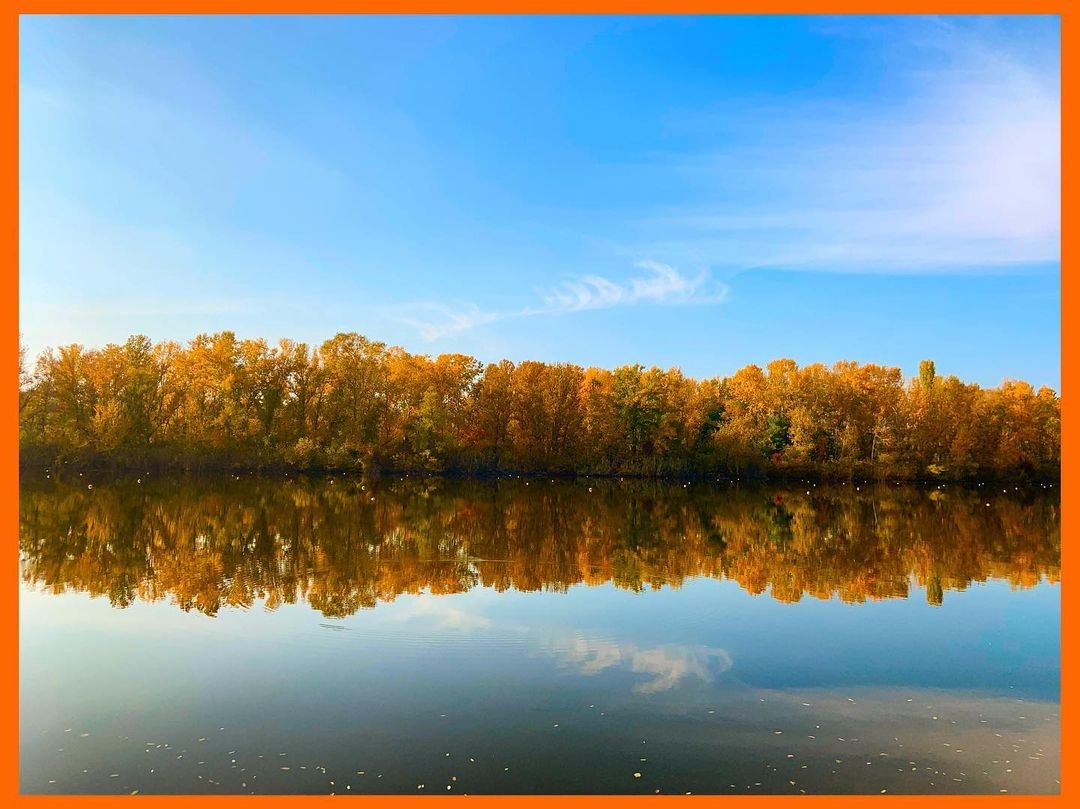 eye_em_profile eye_em_profile