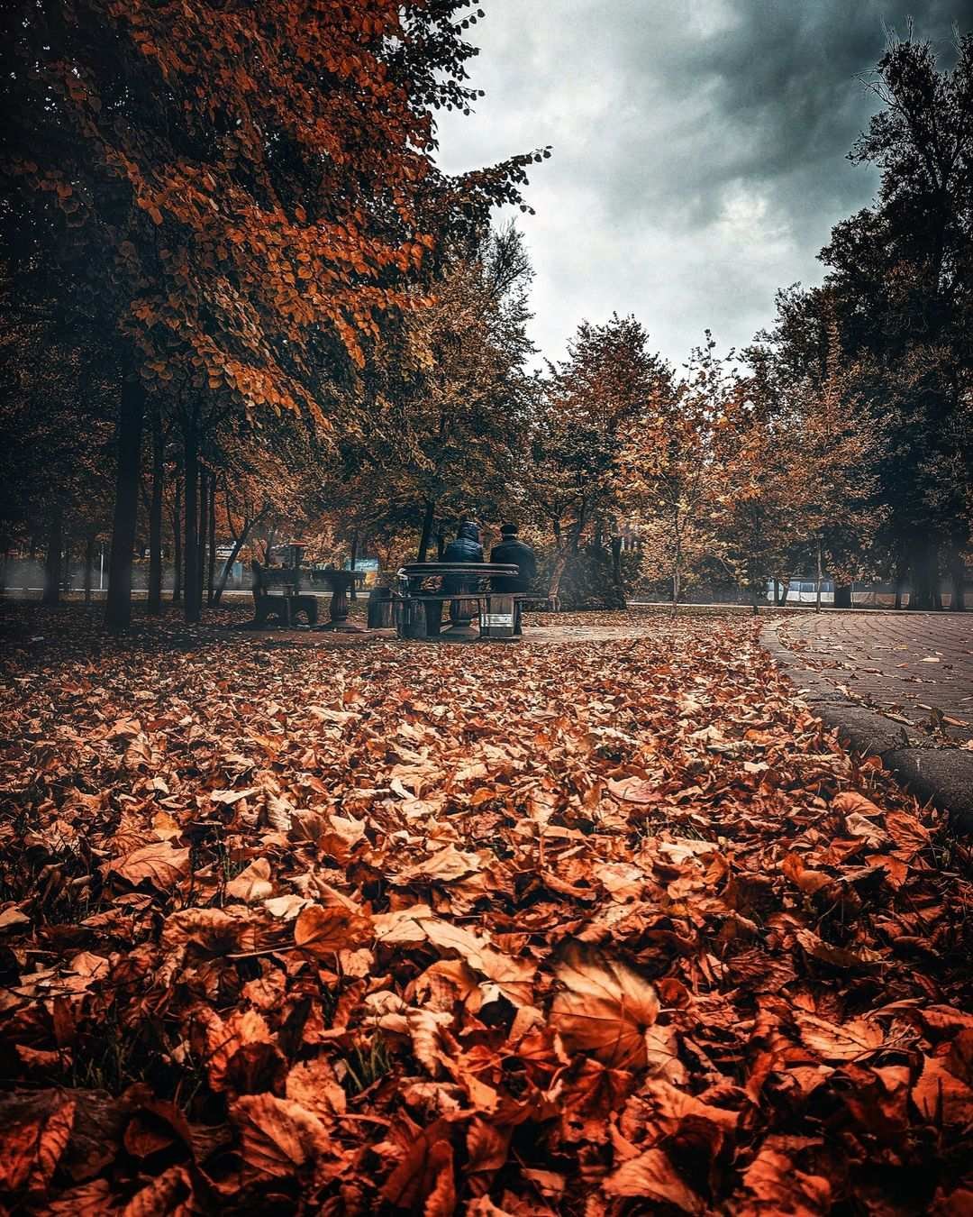 golovko_andrew_ golovko_andrew_