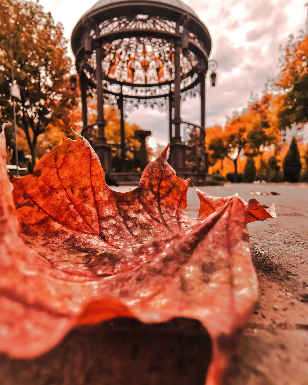 momentolista momentolista