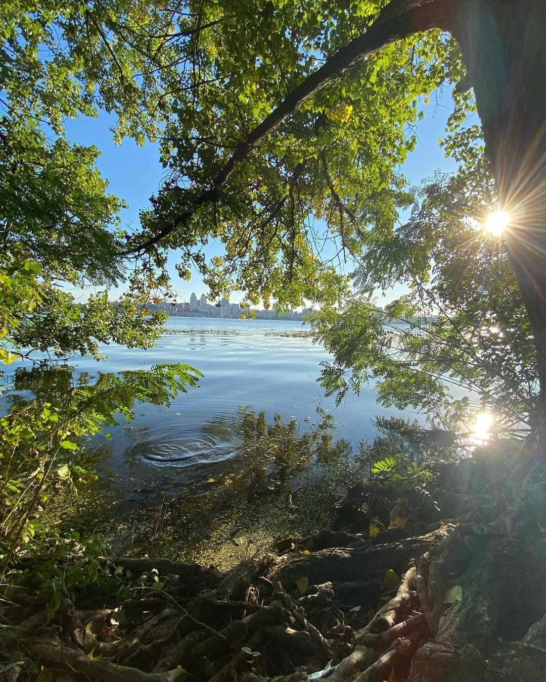 _olya_bond _olya_bond