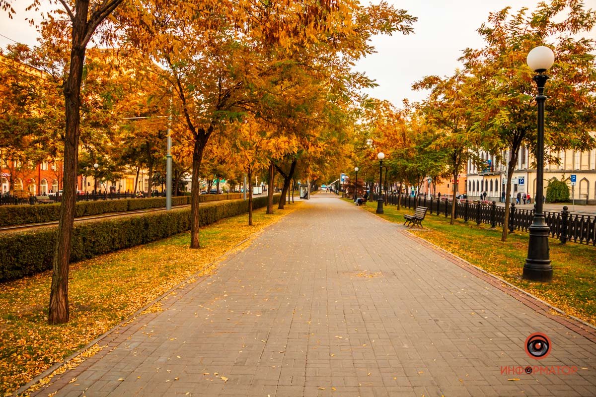 3-я. Считается, что осень - лучшая поря для зачатия ребенка. Ведь за лето организм накопил запас витаминов, да и настроение такое..тактильное