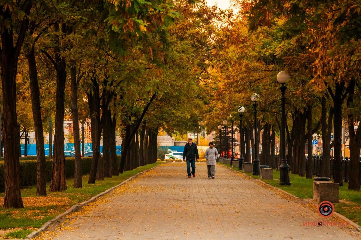 3-я. Глядя на отмирающую листву, понимаешь: все скоротечно