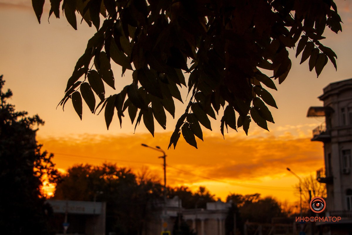 6-я. Рано или поздно понимаешь, что "каникулы" - лишь у тебя в голове