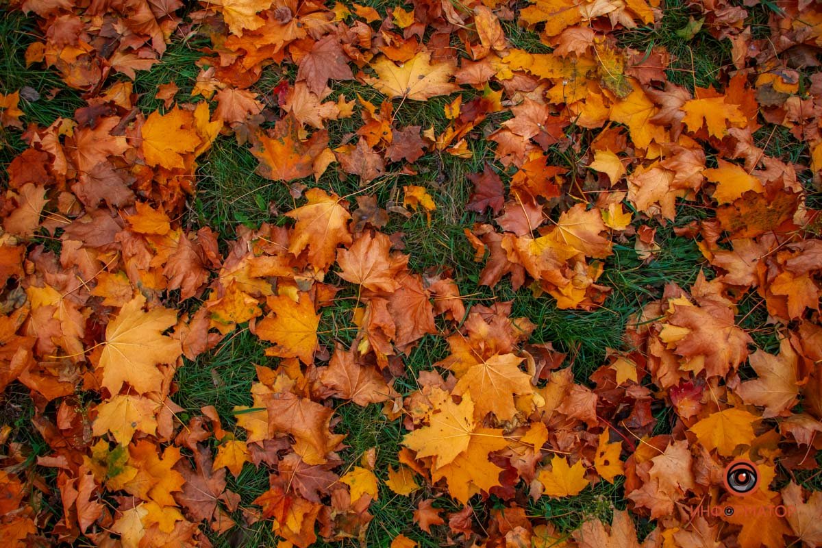 7-я. Внимательное созерцание этой поры дает зрелость взглядов и осознание непрерывности процессов, которые, наслаиваясь друг на друга, рисуют жизнь как есть, онлайн