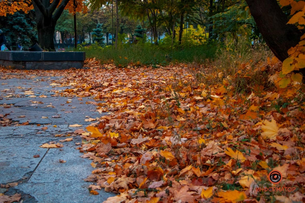 10-я. Осень учит смирению, потому что - да, лето рано или поздно заканчивается