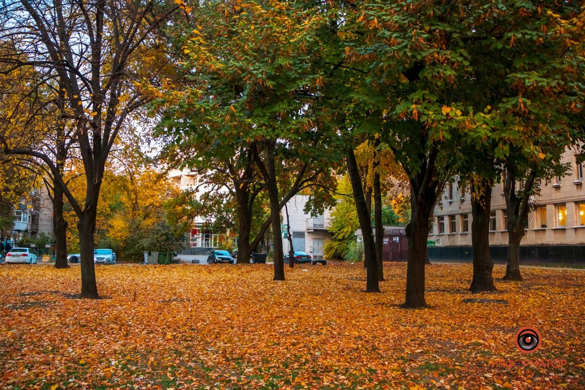 14-я. Подступающая промозглая погода повышает ценность тепла, и не только от одежды