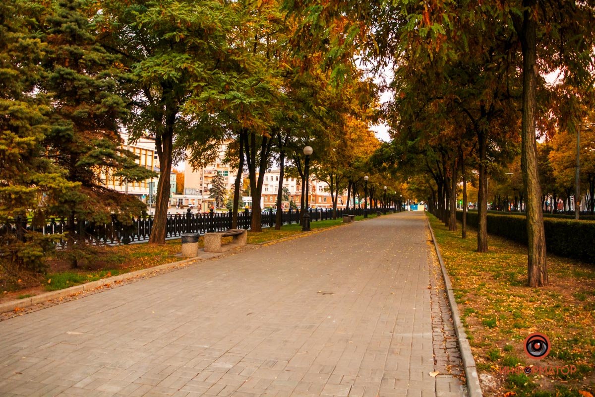 19-я. У нее свой запах, для одних сырости, для других какао и переплета любимой книги