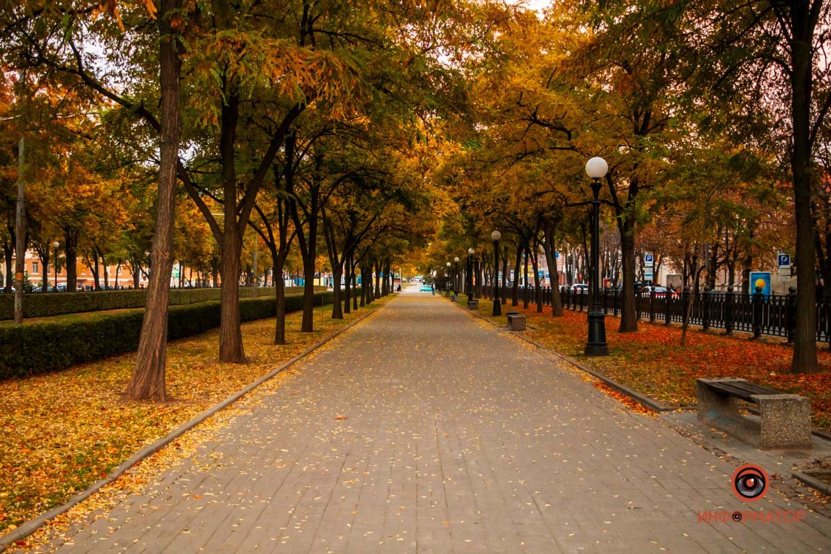 20-я. За свежесть, за возможность почти всё заново