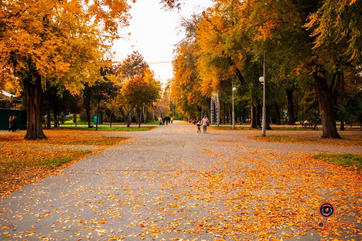 22-я. Дожди, которые дают так остро почувствовать уют собственного дома или желание его строить