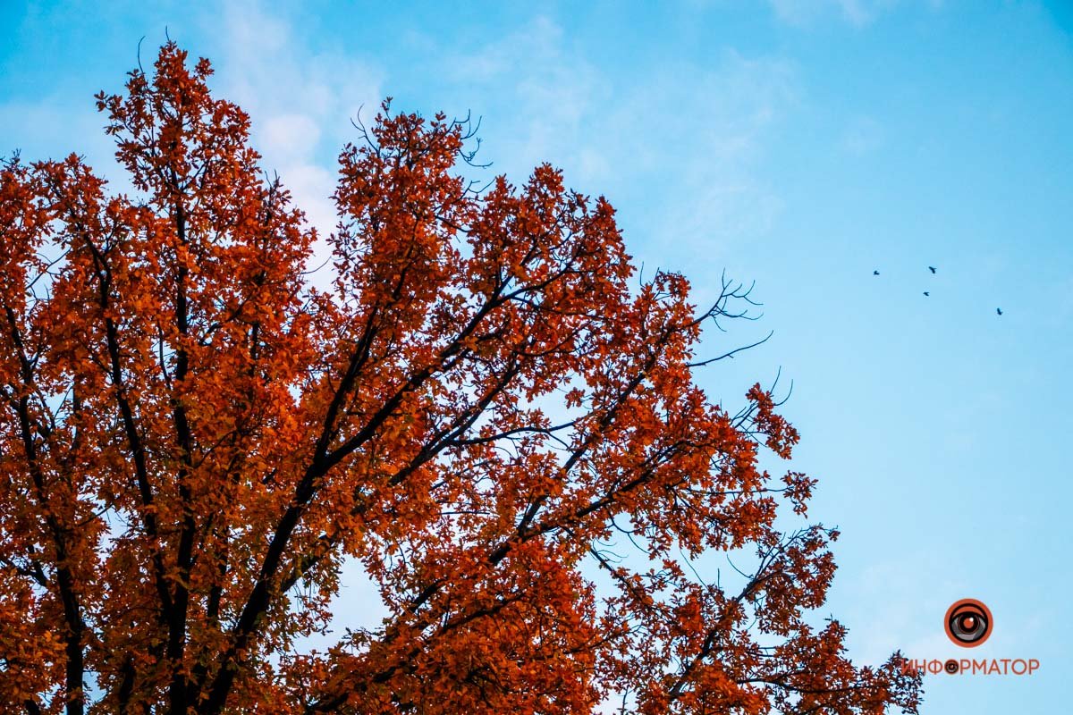 23-я. Объятья. Их становится больше.