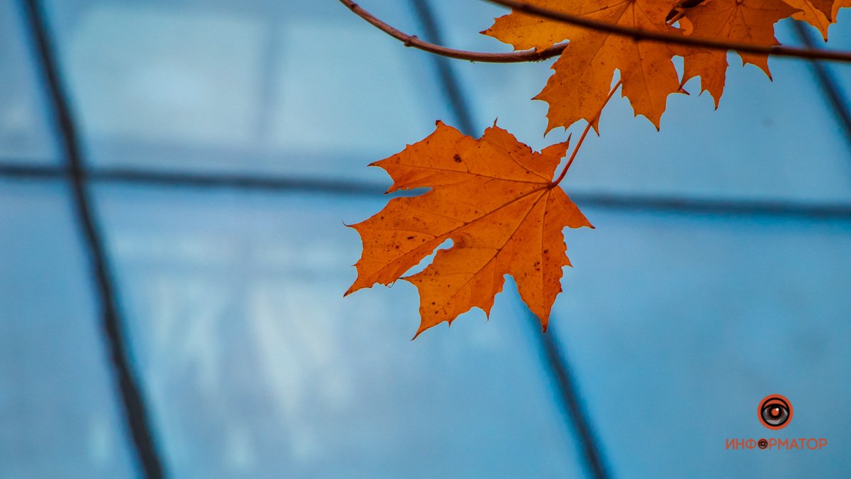 27-я. Стиль. В это пору его становится несравнимо больше вокруг