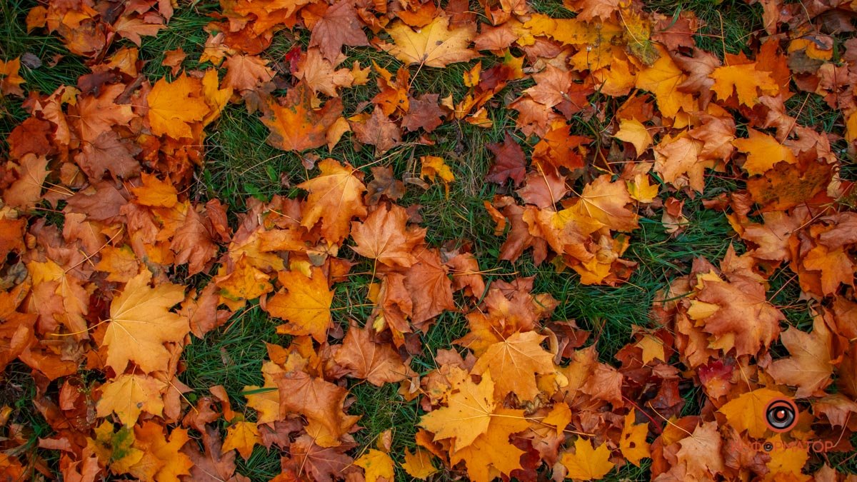 26-я. "Кора" становится крепче, и с каждым годом легче переносить невзгоды