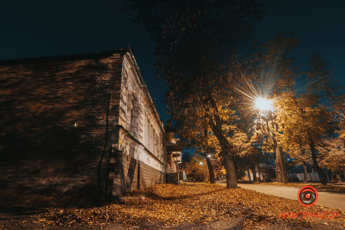 Ковёр из листьев, кто пройдется первым?