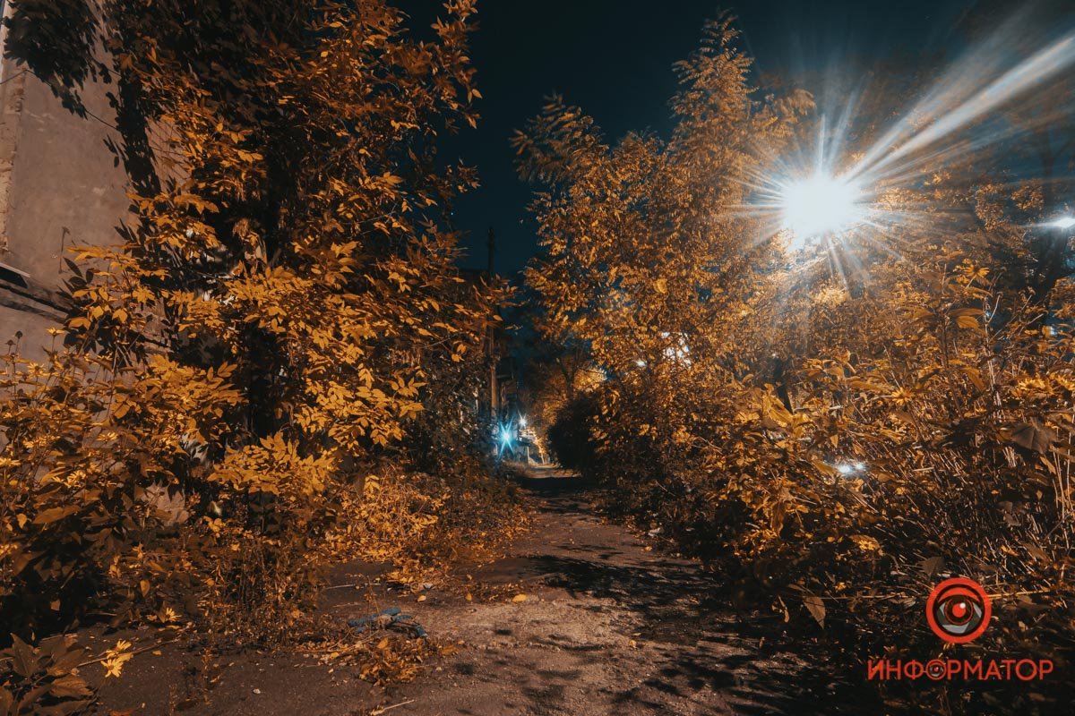 Еще немного и не пройдешь без мачете 