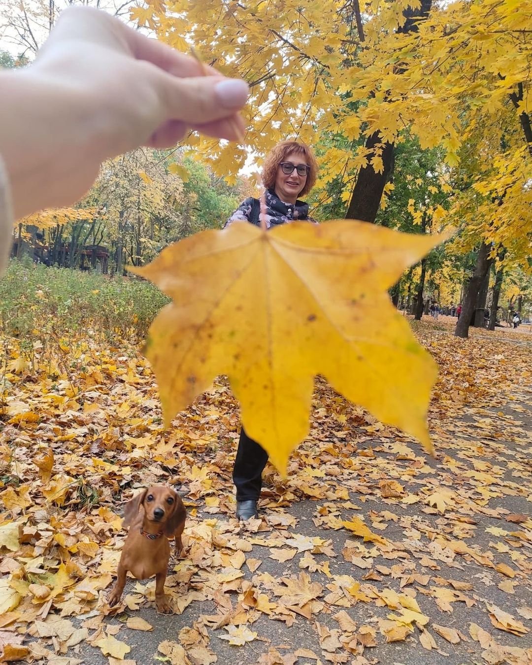 Фото: @dr.dovgal