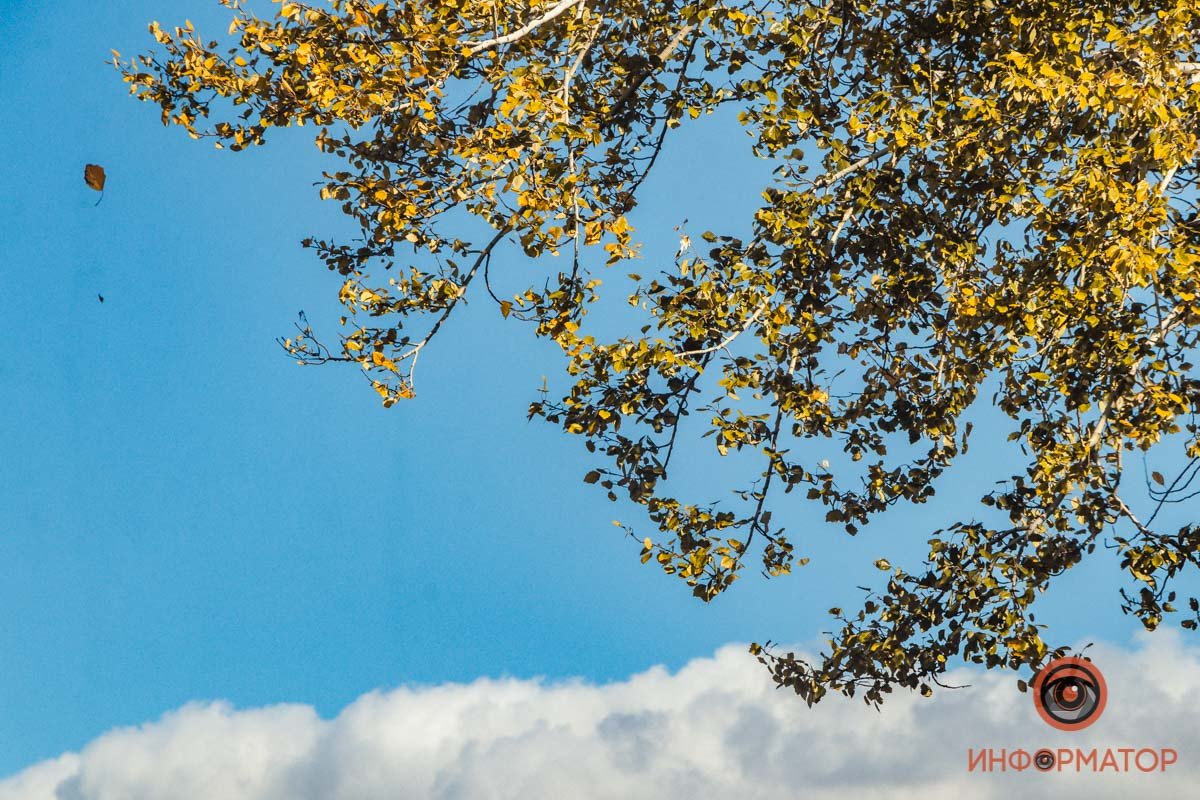 Фото: Андрей Шушпан