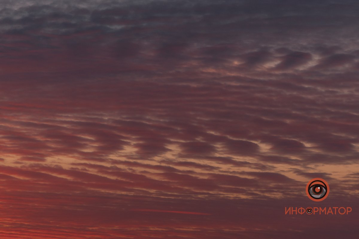 Всё равно — Кипят берёзы Побеждающих надежд!