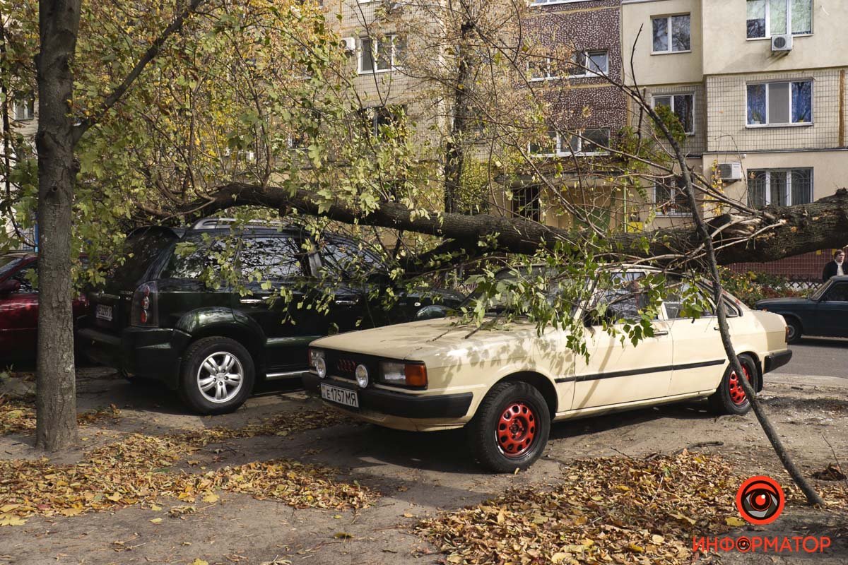 Улица Паникахи Улица Паникахи