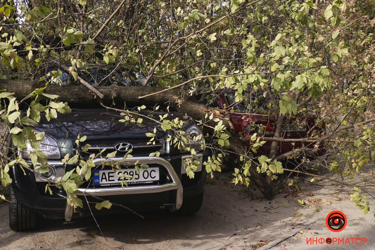 Также досталось Hyundai и Mazda Также досталось Hyundai и Mazda