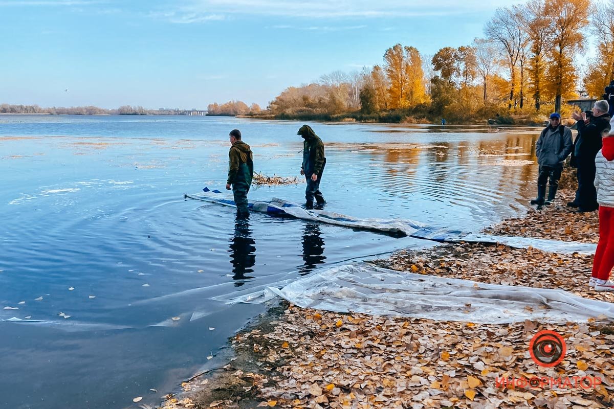В Днепре выпустили в реку 360 тысяч мальков В Днепре выпустили в реку 360 тысяч мальков