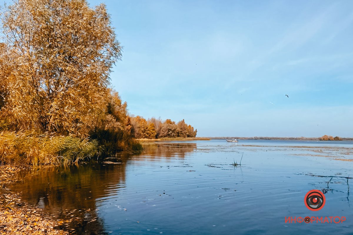 Вес каждого – до 30 граммов Вес каждого – до 30 граммов