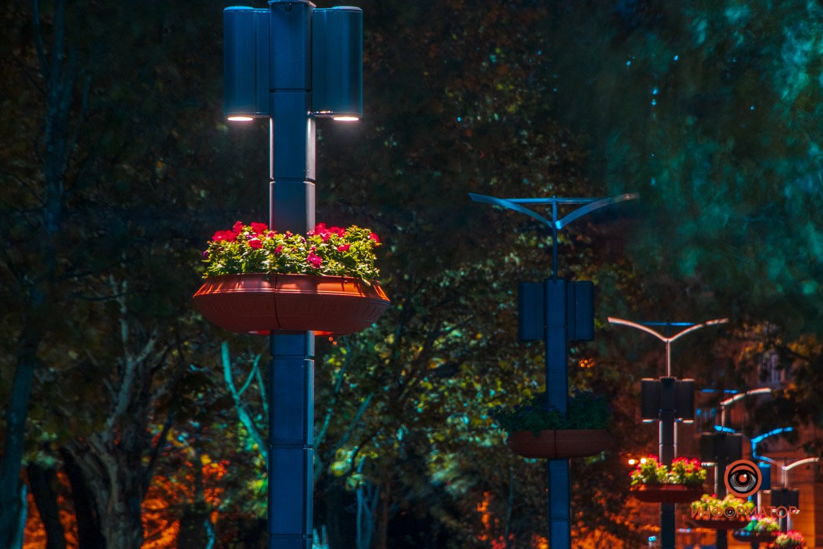 Кашпо на фонарях по Аллее Героев Кашпо на фонарях по Аллее Героев