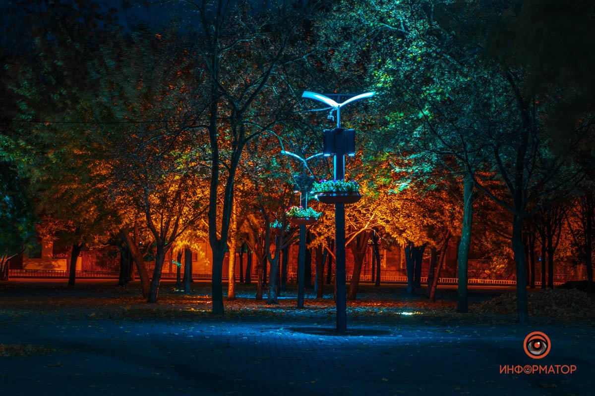 Огненные деревья не оставят равнодушными Огненные деревья не оставят равнодушными