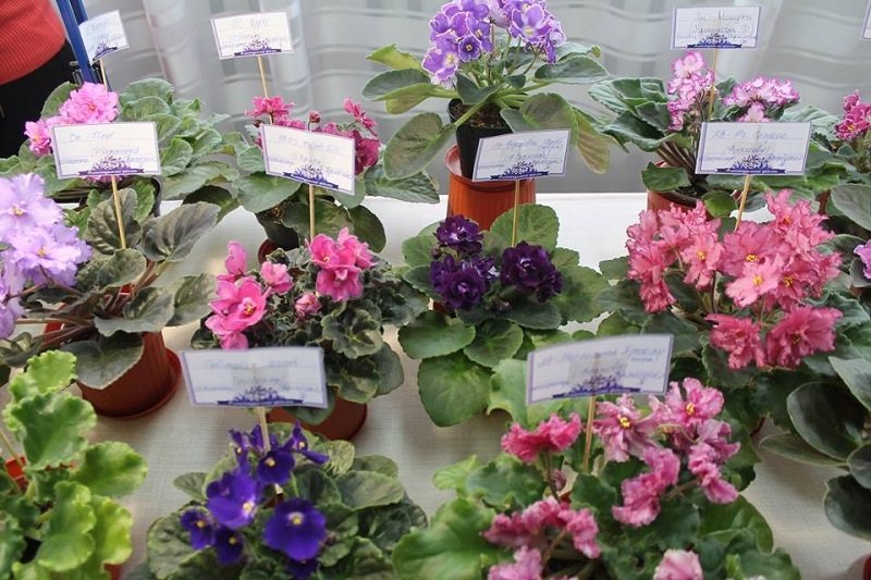 Производство кофе и экскурсия по городу: куда пойти на выходных в Днепре 2