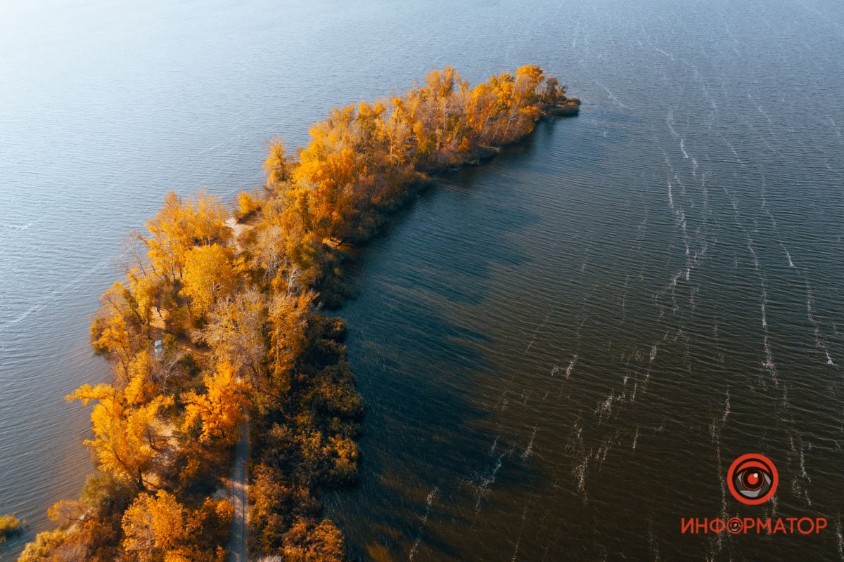 Все в золоте Все в золоте