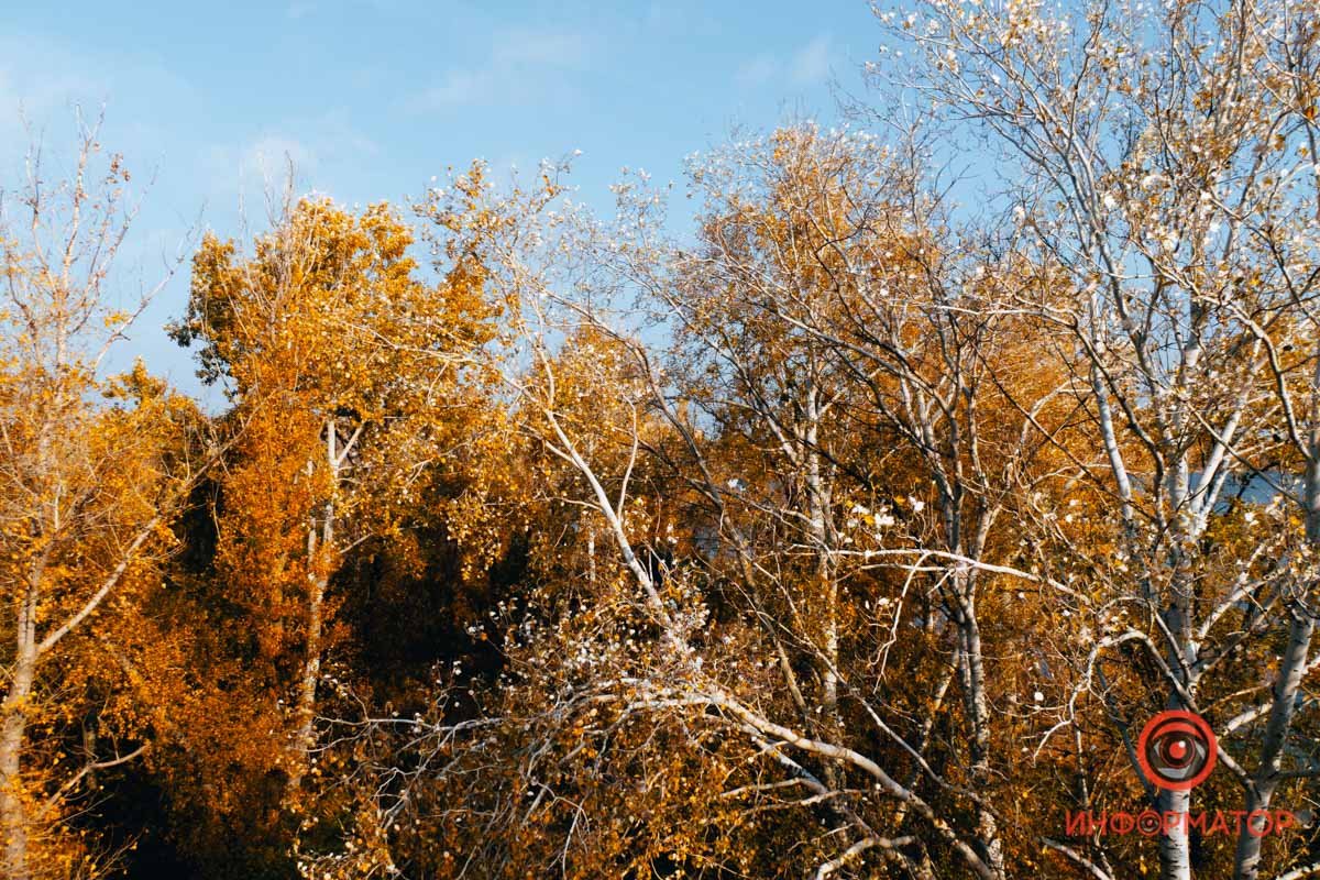 Падают листья Падают листья