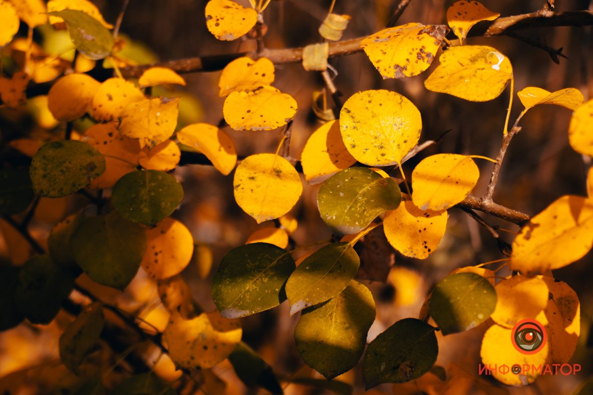 Не надо напрягаться Не надо напрягаться