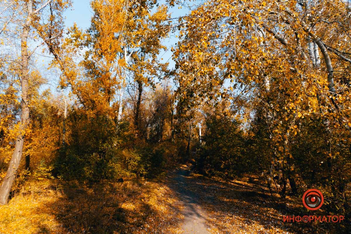 Только представьте, как вы тут гуляете Только представьте, как вы тут гуляете