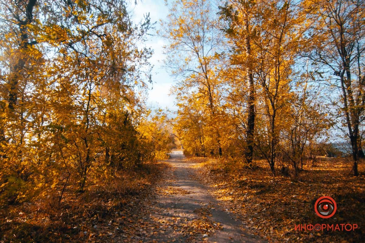 В будущее В будущее