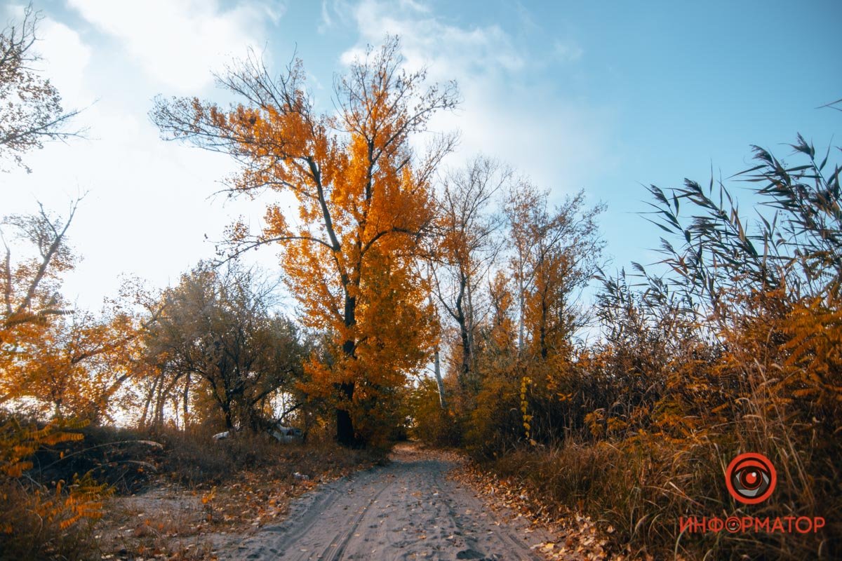 Радо видеть Радо видеть