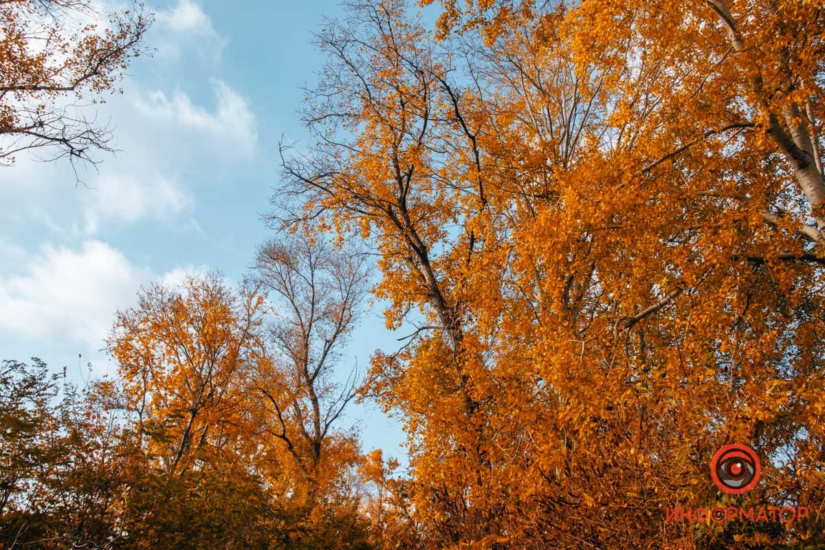 Чаще смотрите в небо Чаще смотрите в небо
