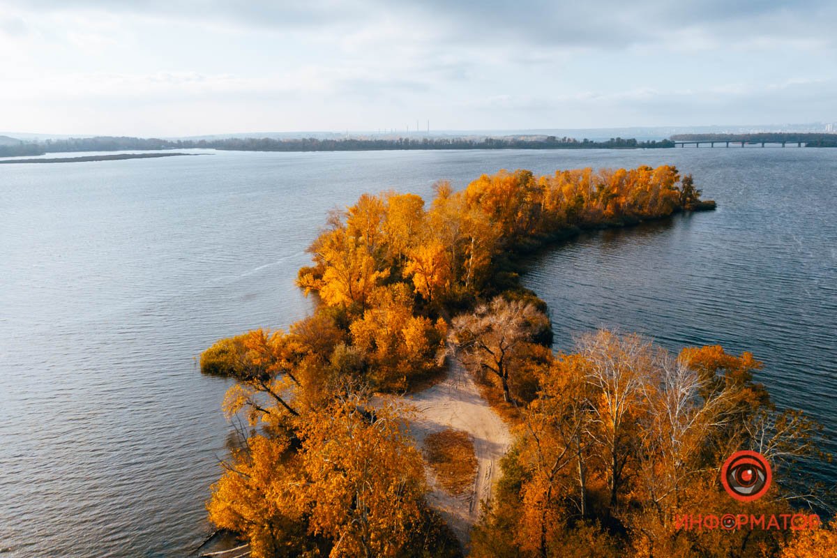 Поляна для клаустрофобов Поляна для клаустрофобов