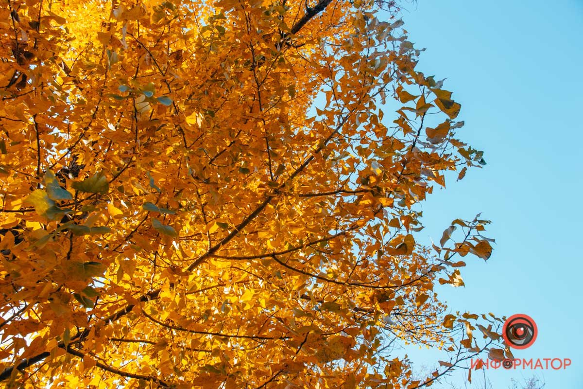 Пока что неба не видно Пока что неба не видно