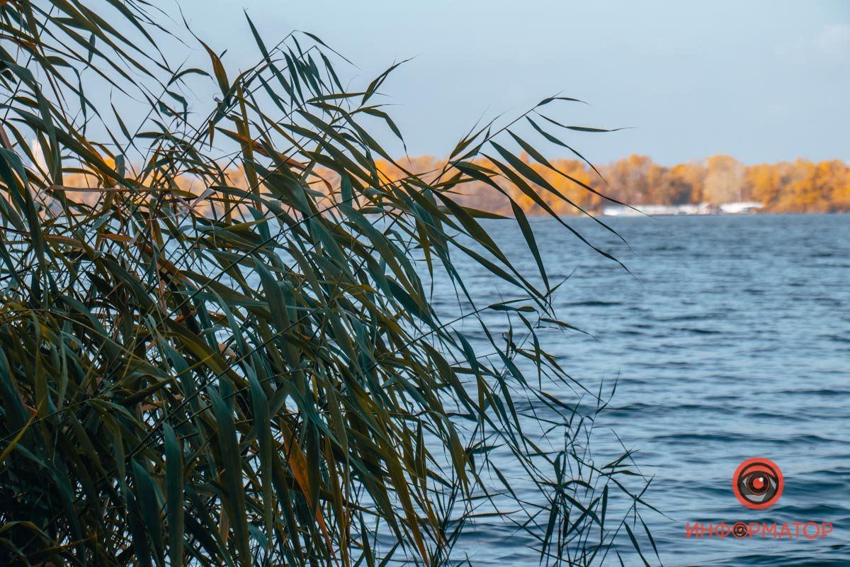 Время прятаться Время прятаться