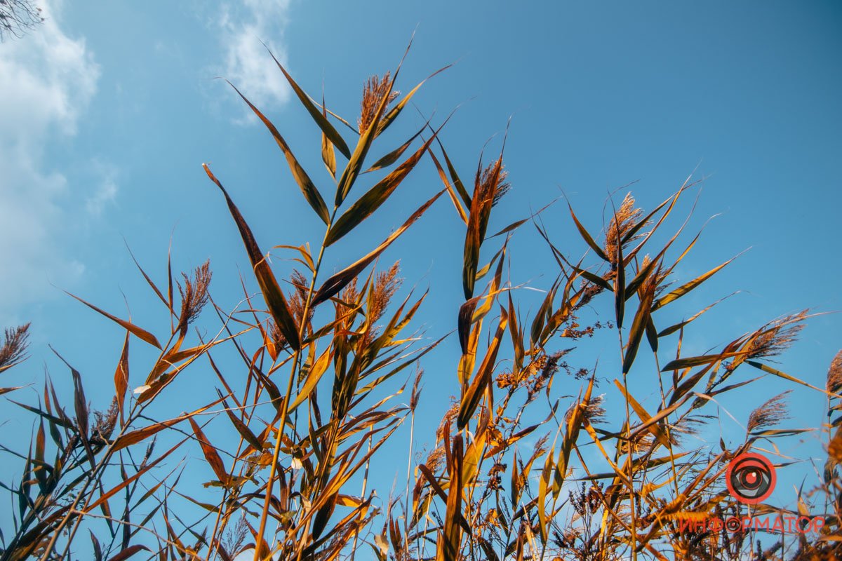 Такие высокие Такие высокие