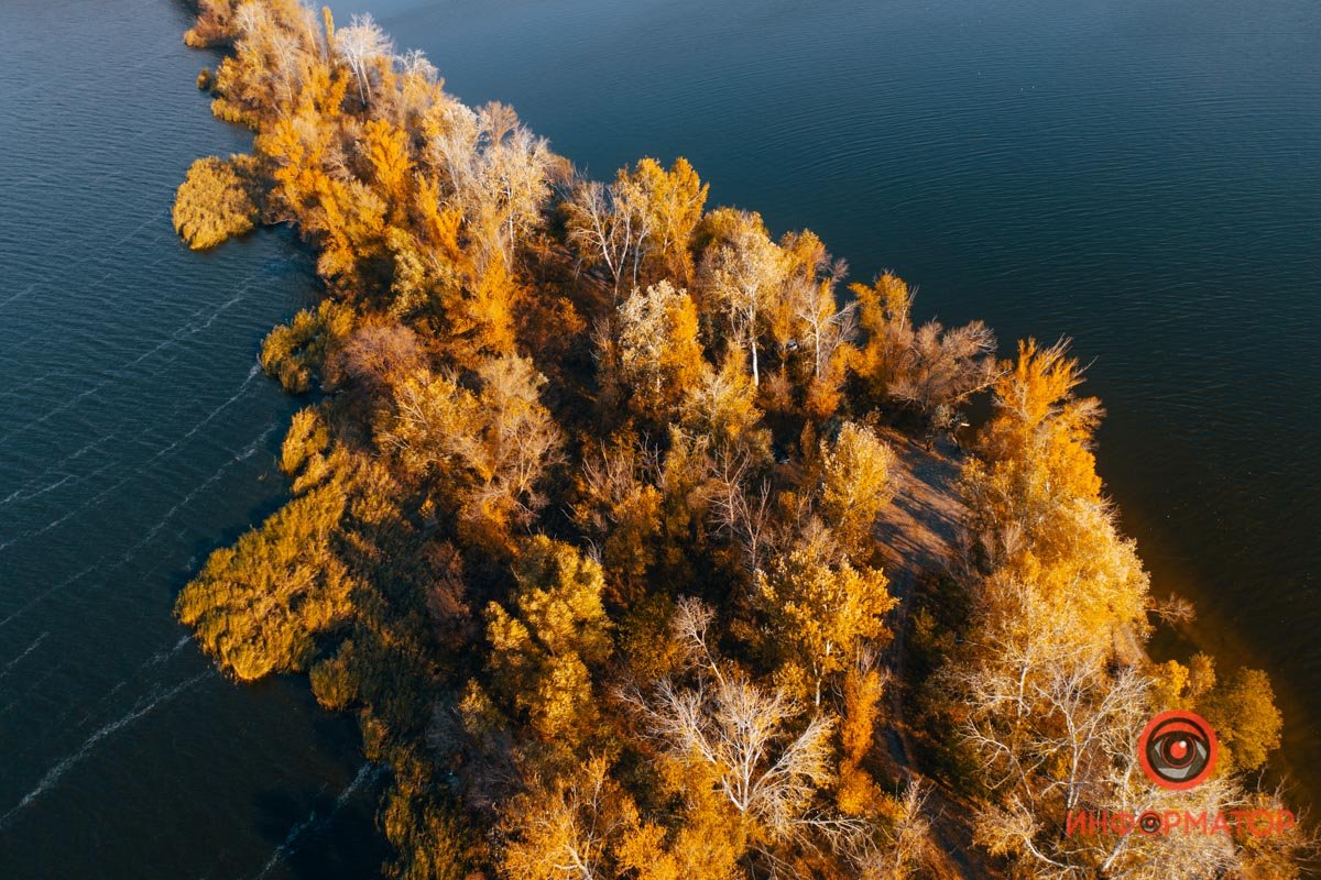 Красотища Красотища