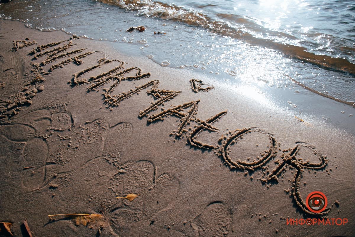 Мы вас любим Мы вас любим