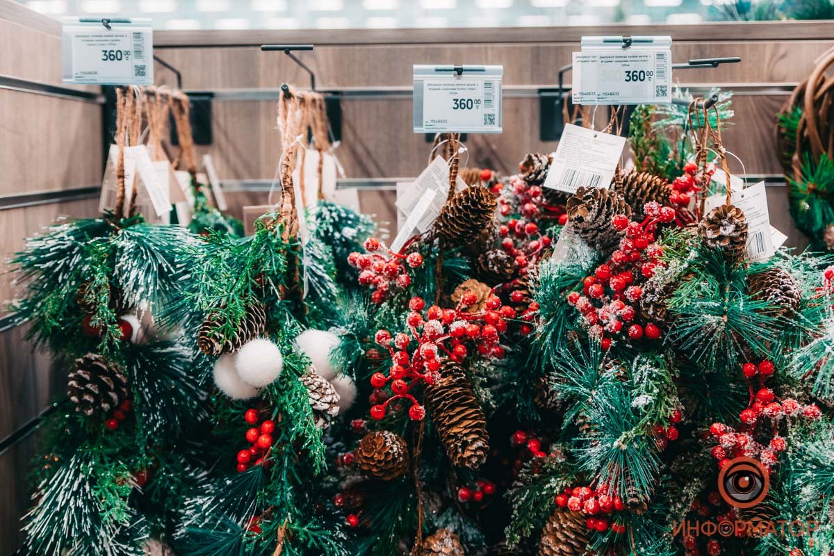 На ветках уже снег лежит... 