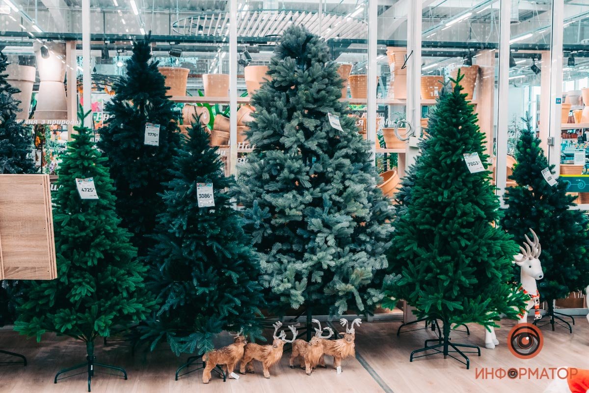 Как на подбор, красавицы 