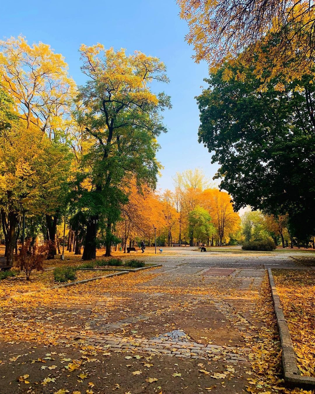 pokrovskaiia_